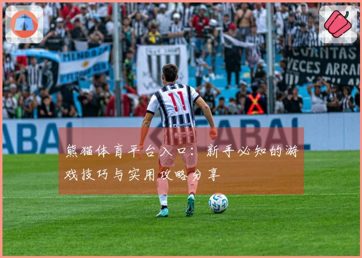 熊猫体育平台入口：新手必知的游戏技巧与实用攻略分享