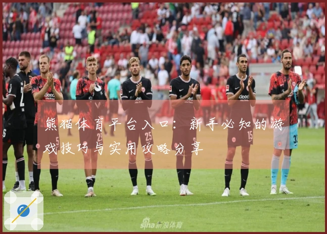 熊猫体育平台入口：新手必知的游戏技巧与实用攻略分享
